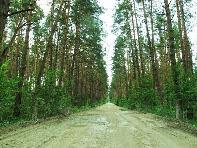  Это мне так дорогу через лес и какой-то карьер вобъезд Житомира проложил навигационный сервис электронной карты Украины