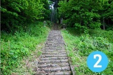 Тест: Выберите свою тропинку | Flytothesky.ru | Дзен