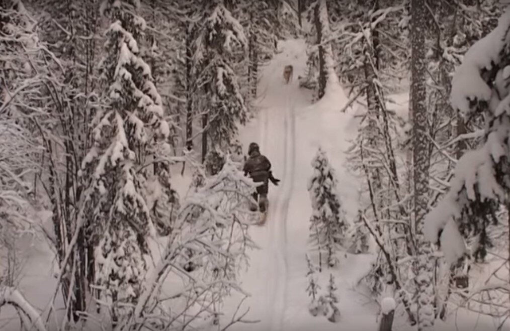 охотники промысловики в тайге. таёжные охотники промысловики рассказы из зимовья на охоте. рассказы охотников промысловиков зимовье. постройка зимовья в тайге. рассказы охотников промысловиков зимовье.