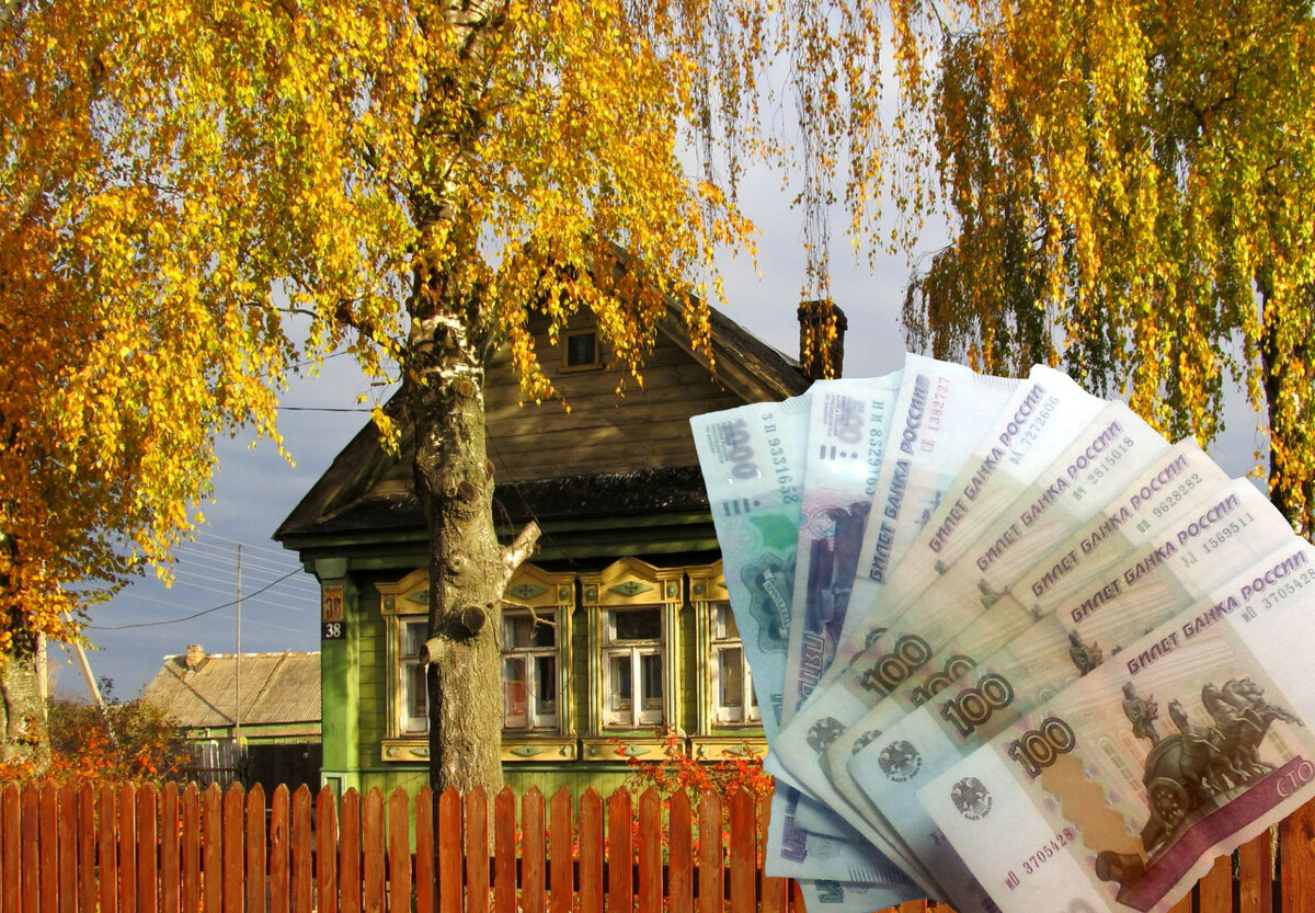 Идеи для сельского бизнеса. Необычный бизнес в деревне. Деньги в деревне. Заработок в деревне. Бизнес идеи на селе.