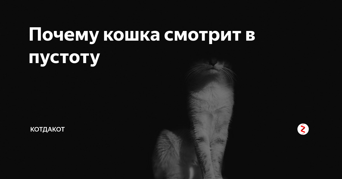 Почему глаза твои пусты почему ты