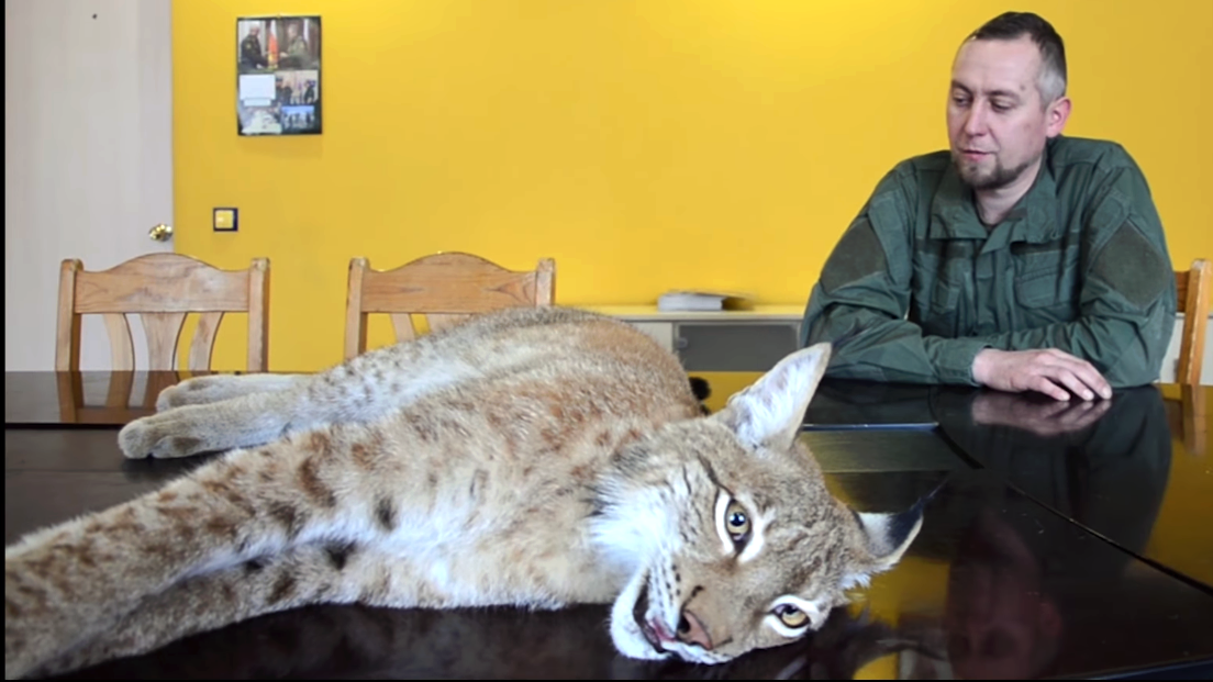 фото:https://riafan.ru/