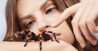 Будьте уверены, дорога будет легкой, путешествие веселым и не исключено, что вам удастся хорошенько отдохнуть. Практически всегда подобное появление сулит приятное времяпрепровождение с дорогим человеком либо друзьями.