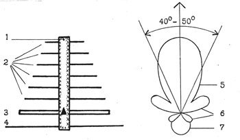 Рис.1. Слева - отдаленный аналог пирамиды – земная телевизионная антенна типа «волновой канал». По внешнему виду она похожа на сечение ступенчатой пирамиды. Справа - диаграмма направленности телевизионной антенны.