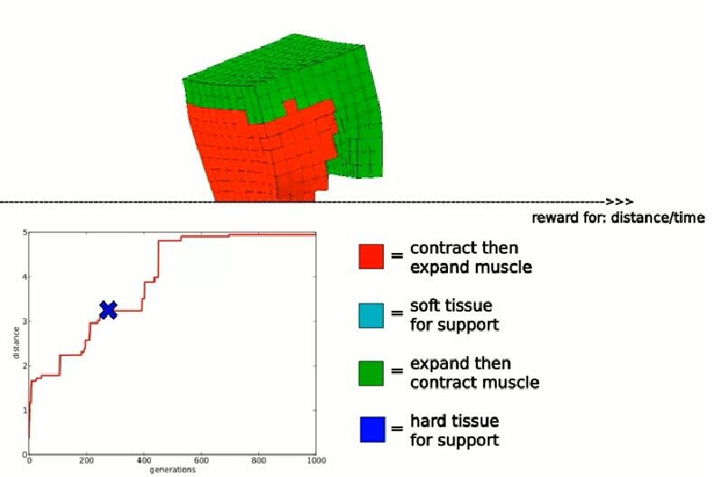 Источник: Evolving Soft Robots with Multiple Materials (muscle, bone, etc.)