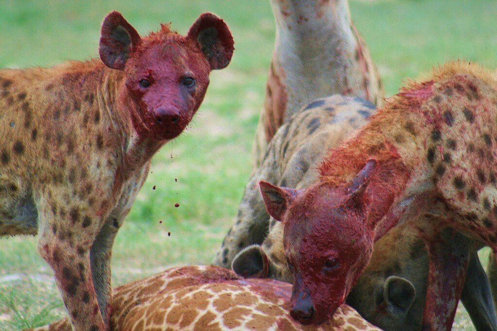 Дорогой, у меня эти дни...