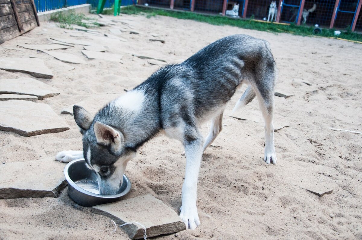 Впечатляет, правда? 