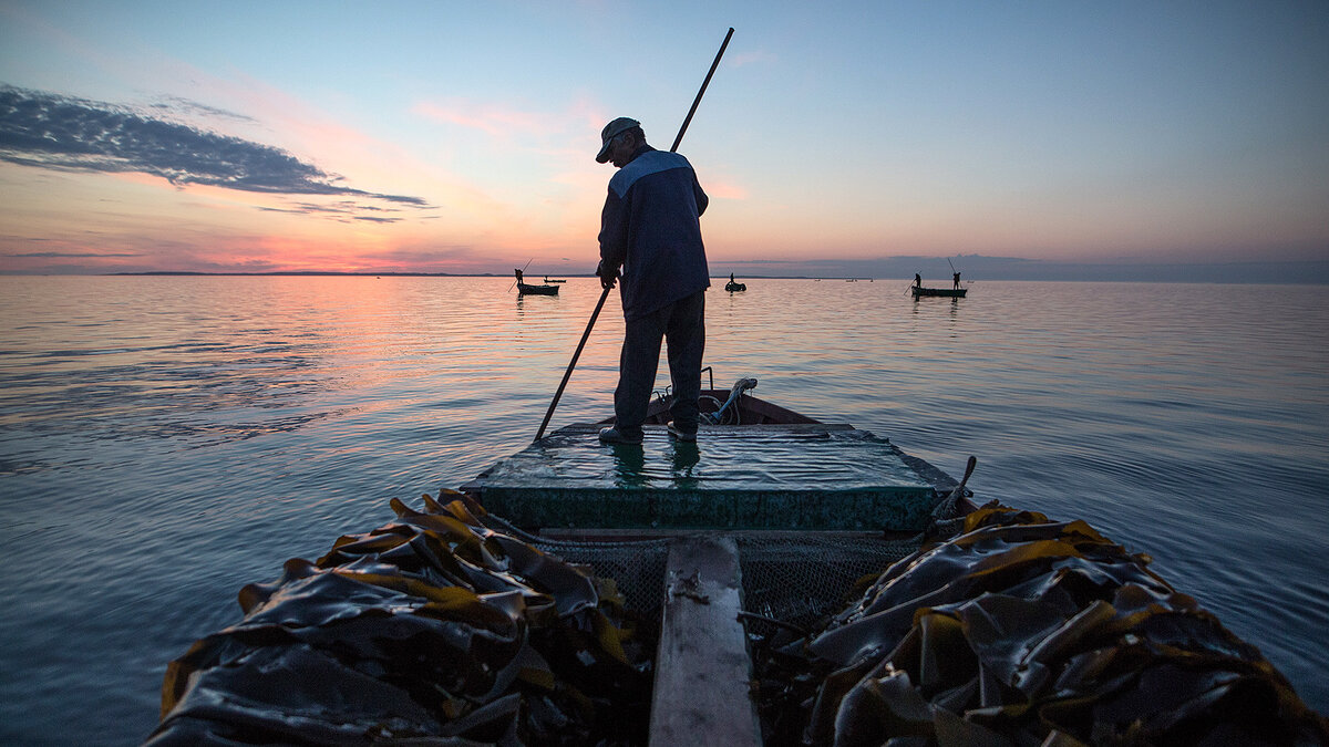 Автор фото - Сергей Бобылев