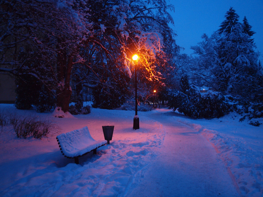 Фото с Яндекс.Картинки.