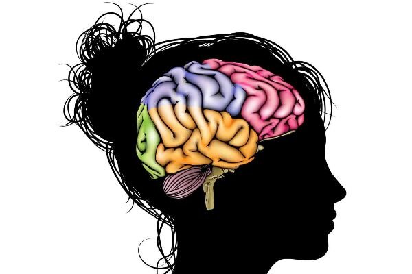 http://www.buildhealthnaturally.com/
