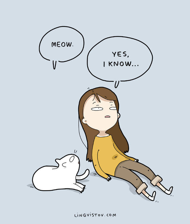 Мяу! Да, я знаю.