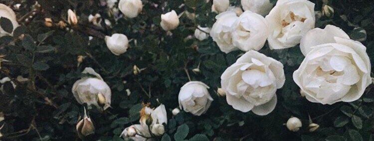 photo by me