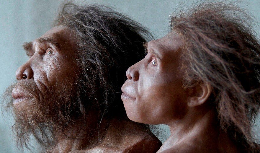На Земле долго не было людей. Первые подобные нам люди появились на планете лишь около 100 000 лет назад. Возможно, они были похожи на живших до них обезьяно-подобных существ.