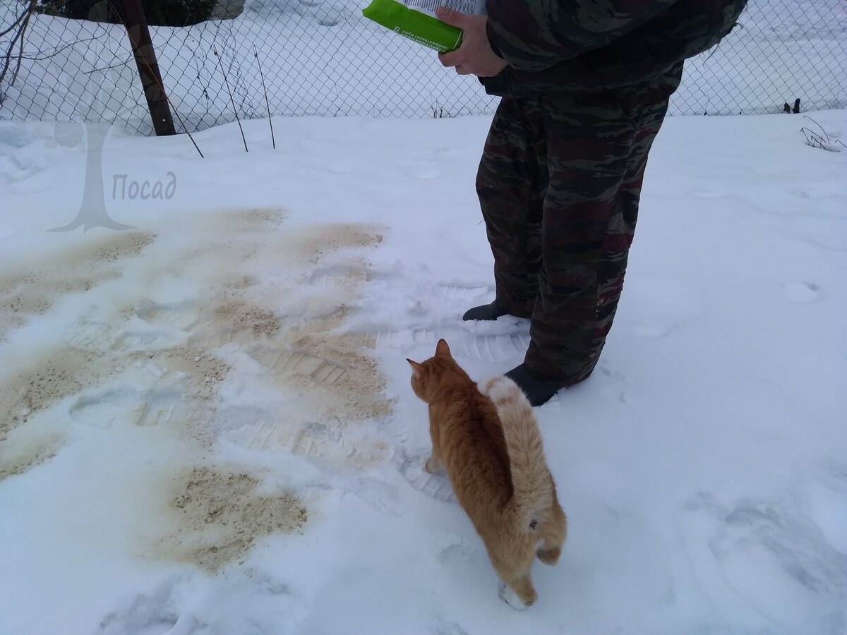 Под чутким контролем.
