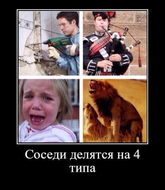 Соседи делятся на 4 типа картинка