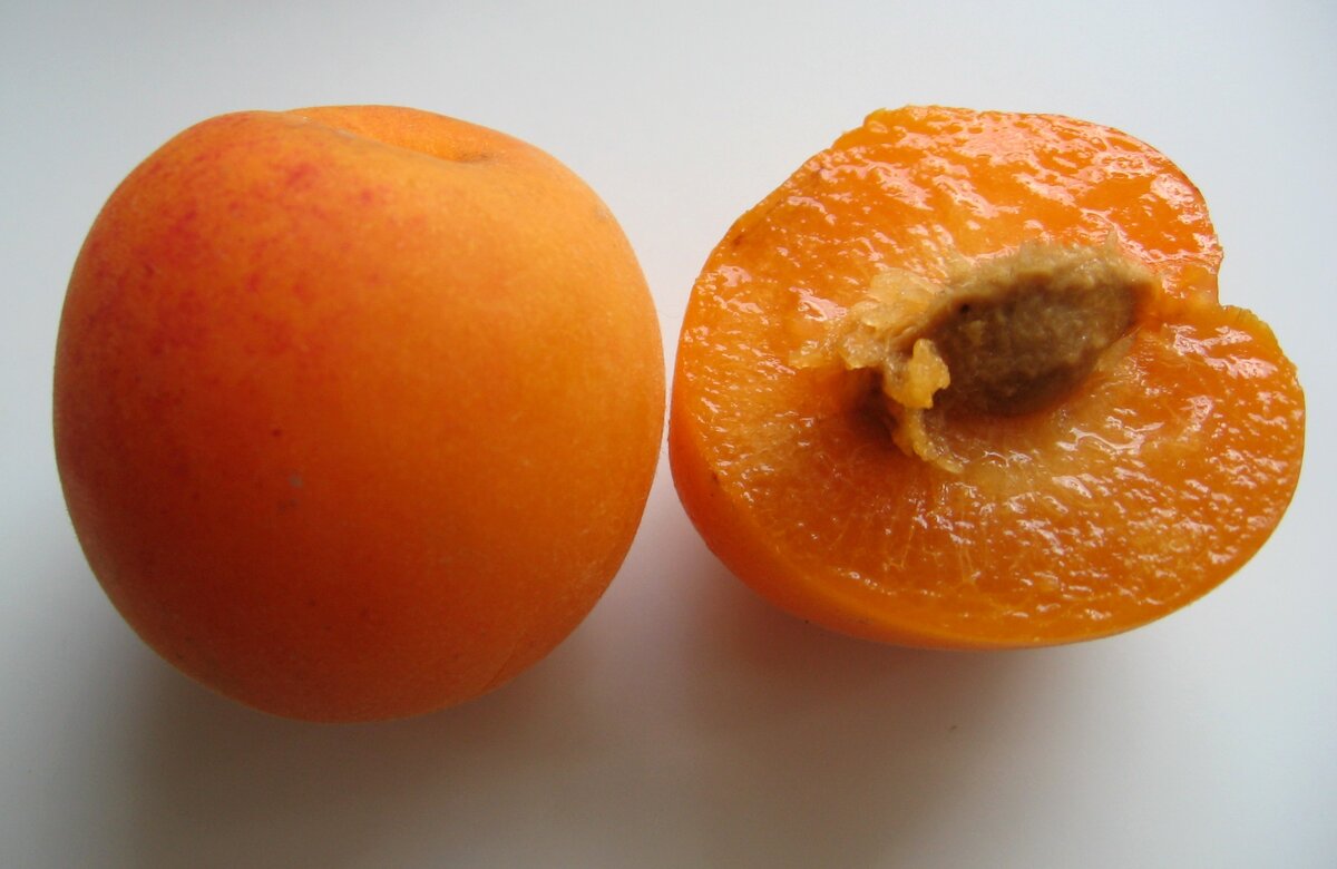Гибрид персика и сливы и абрикоса фото