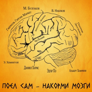 Reading brain. Чтение и мозг. Книга мозг. Накорми свой мозг. Чтение влияет на мозг.