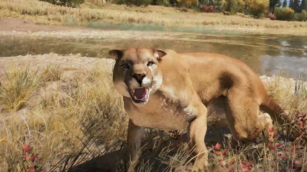 Готовится сделать кусь