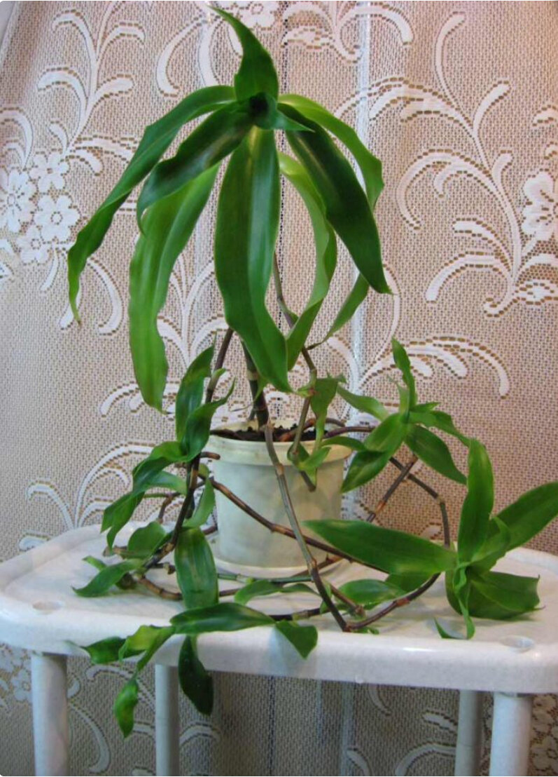 Фото яандекс картинки