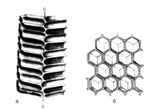 a-сота в разрезе,б-сота вид сверху,с-средостение