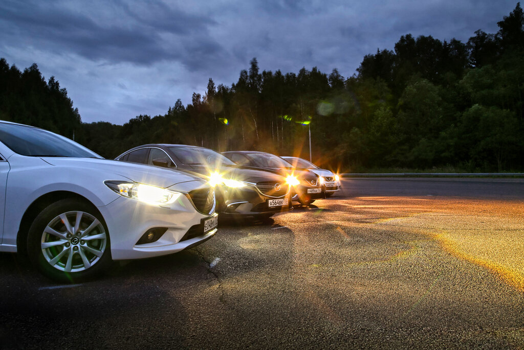 Фотография взята из яндекс-картинок