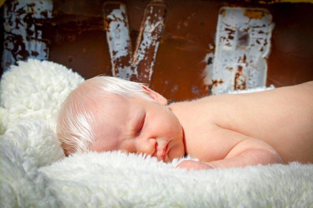 Фото с сайта reddit.com