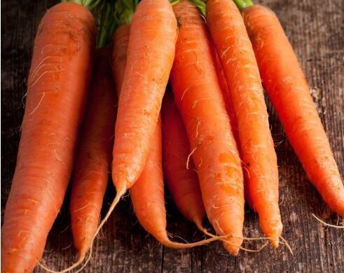 Сладкая и сахарная морковь: секрет в правильной подкормке, основные правила