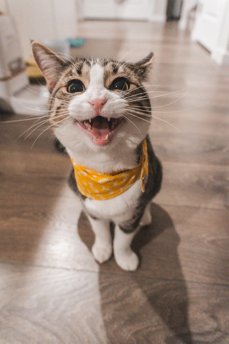 Фото Jae Park на Unsplash