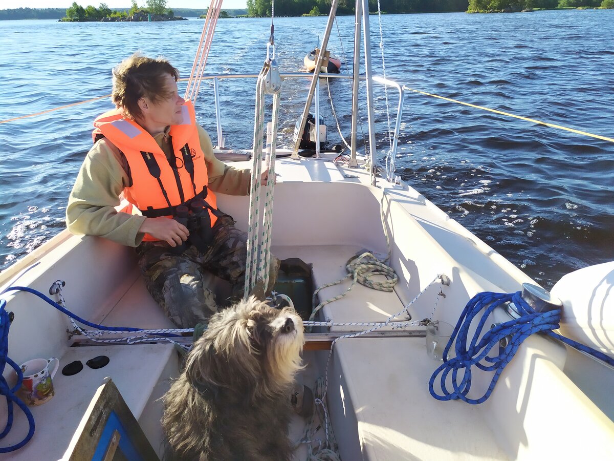 Выборгский залив