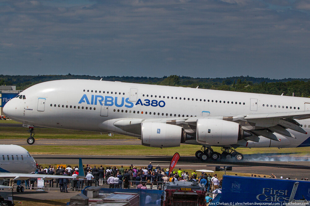 все фото из яндекса