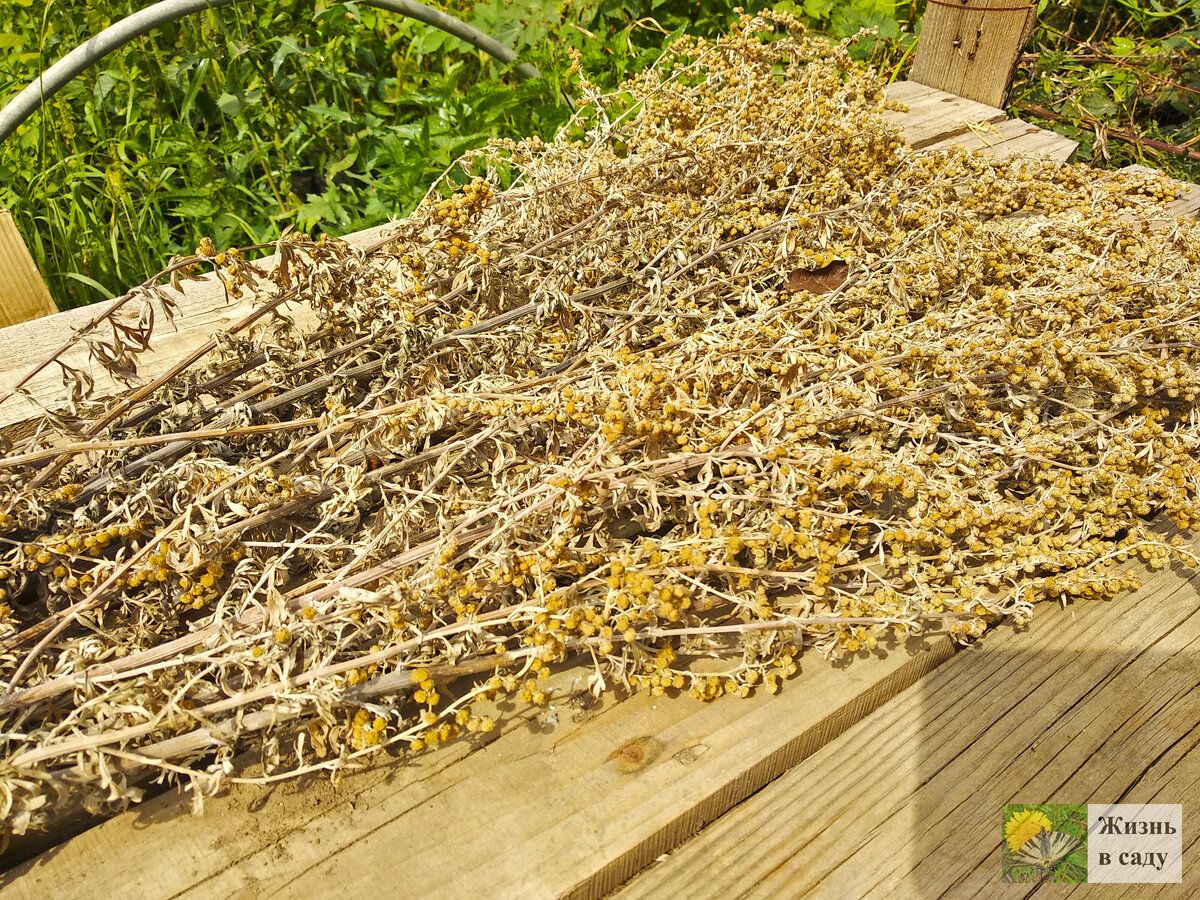 Можно что-нибудь подложить под нее, чтобы не осыпались сухие части