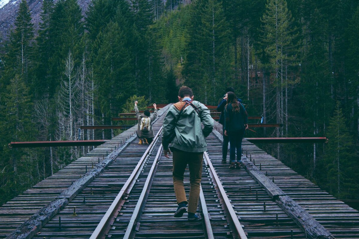 Потеряв какой вид. Vance Creek Bridge. Vance Creek Bridge Цой жив.