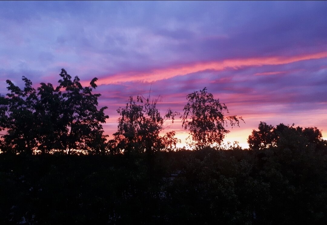 Фото Поликанова Екатерина