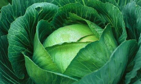 Источник: fb.ru