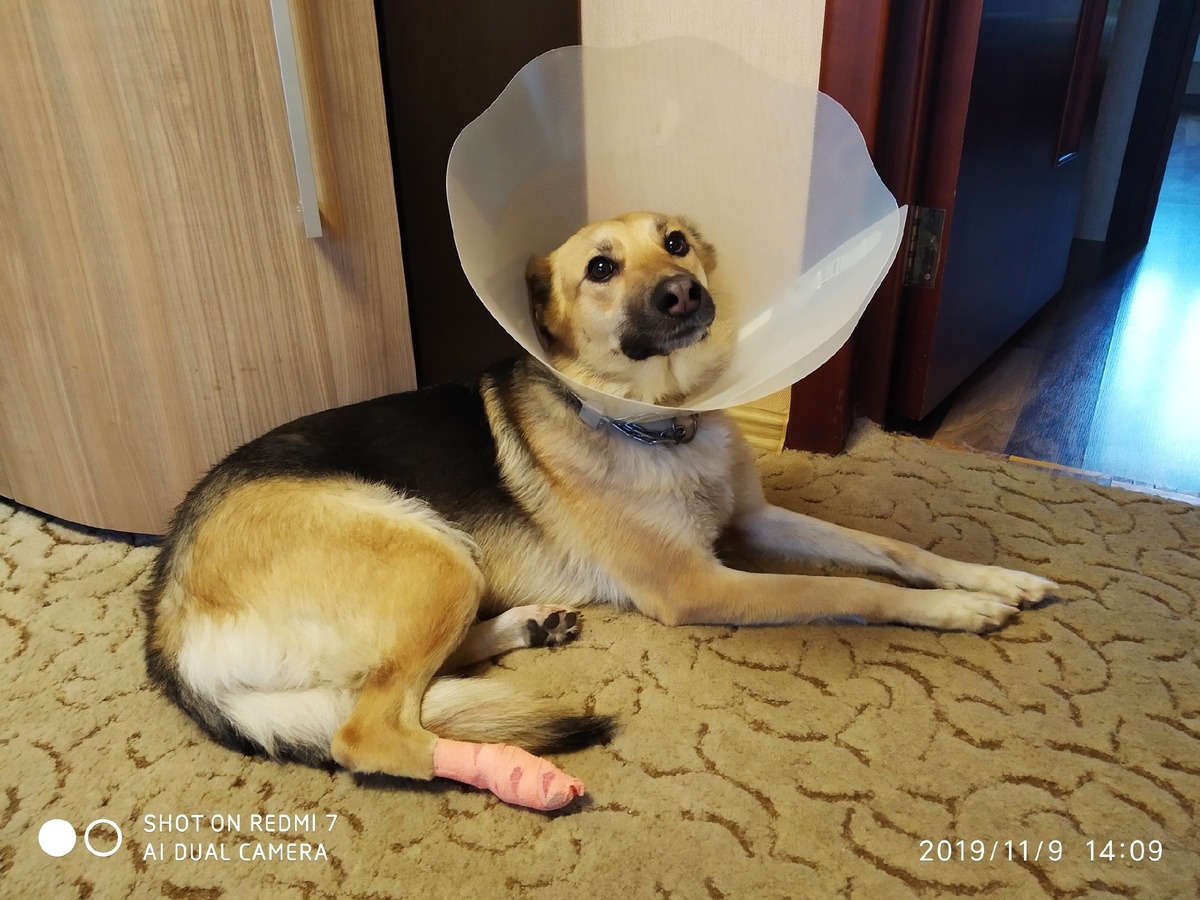 Теперь и в ультракоротком диапазоне. Фото из личного архива.