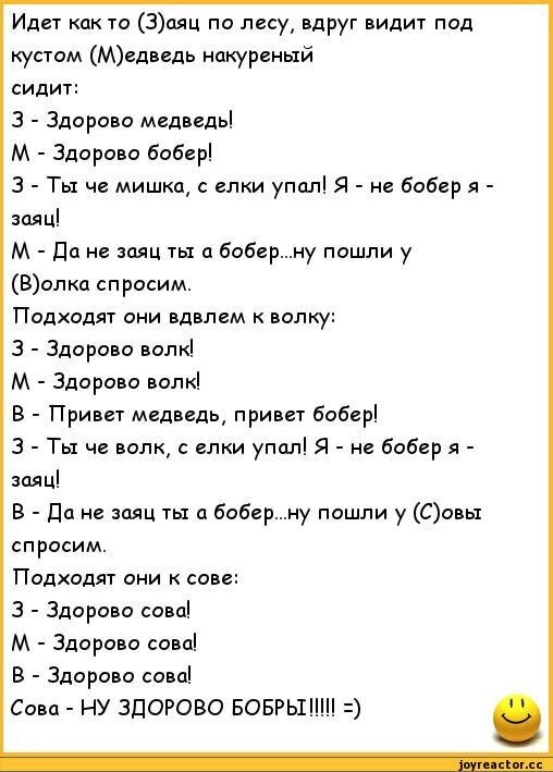 Анекдот про зайца. Анекдот про зайца и медведя. Анекдот про медведя. Смешные анекдоты про зайца.