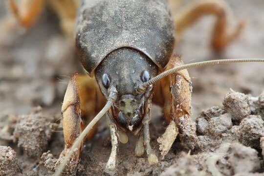 Фото взято из открытого доступа.
