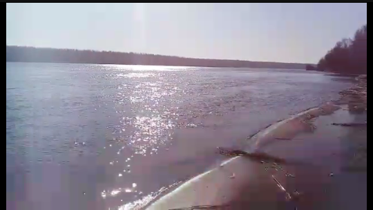 Личное фото