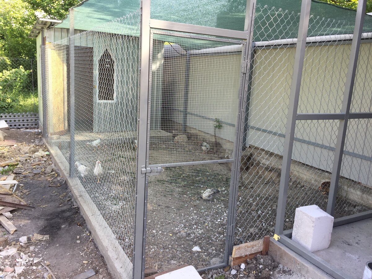 Фото из личного архива.  Только-только сделали и запустили курочек.