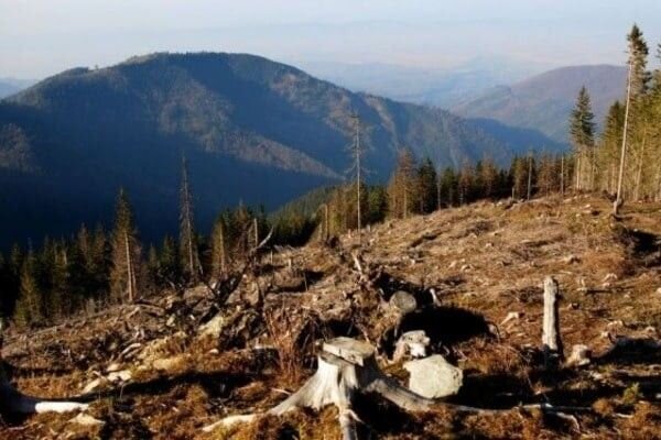 ФОТО ЛЫСЫХ  ГОР КАРПАТ. ИСТОЧНИК СВОБОДНЫЙ.