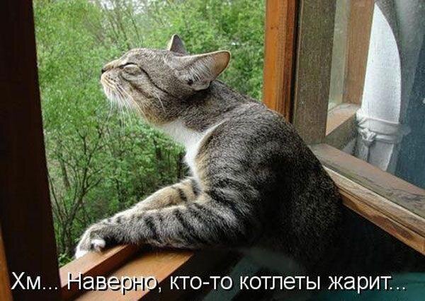 фото использовано в качестве иллюстрации. Источник "Яндекс.Картинки"