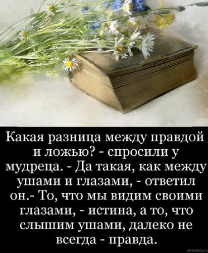 Фото из общедоступной сети Интернет