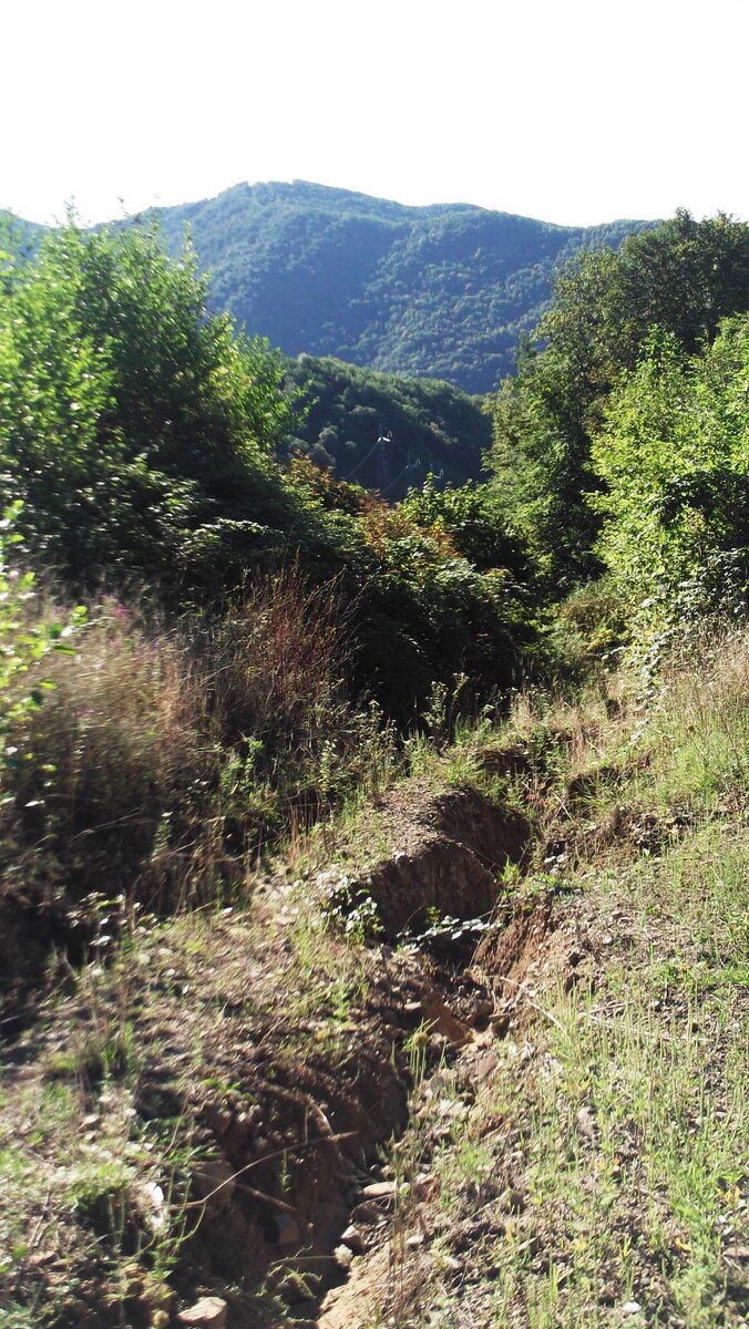 На пути к дольменам. Фото из личного архива