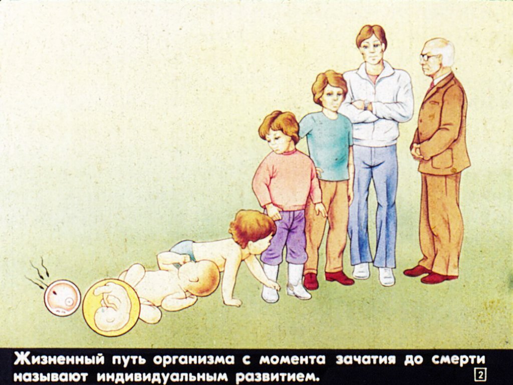 Источник изображения - Яндекс.Картинки