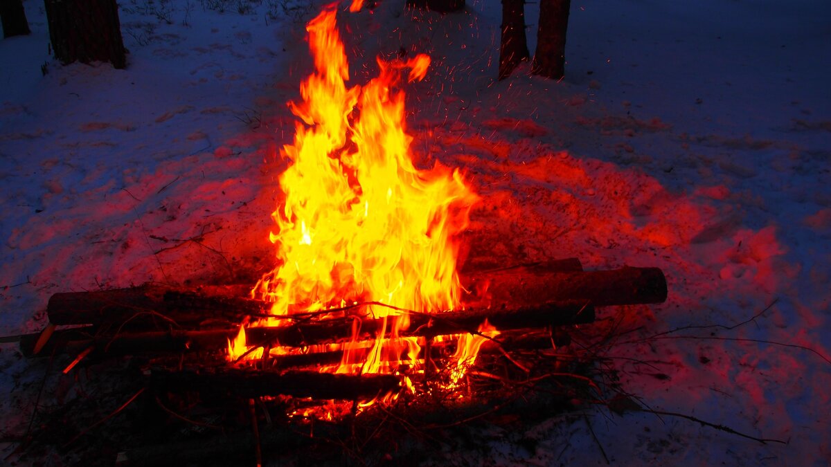 (Фото Анны Зубковой)