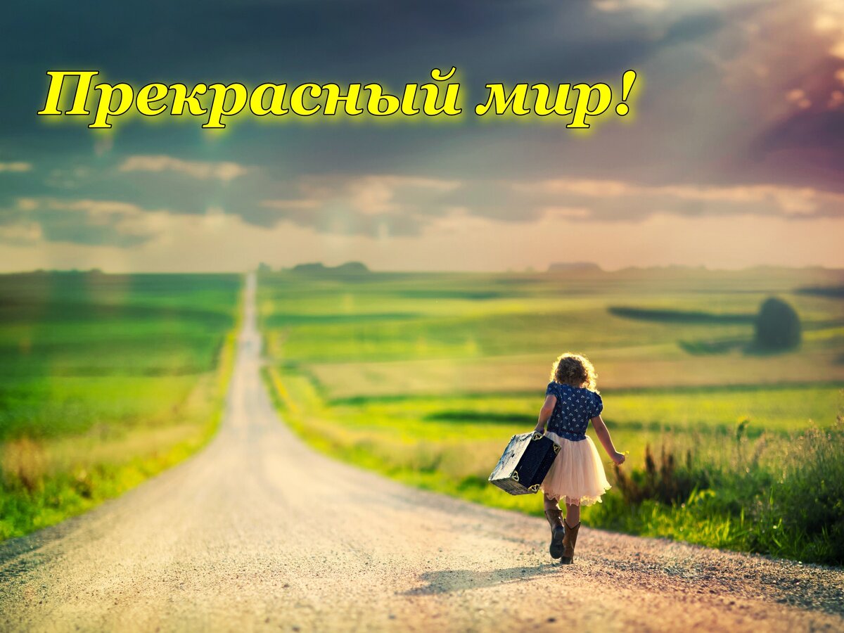 Яндекс. Картинки