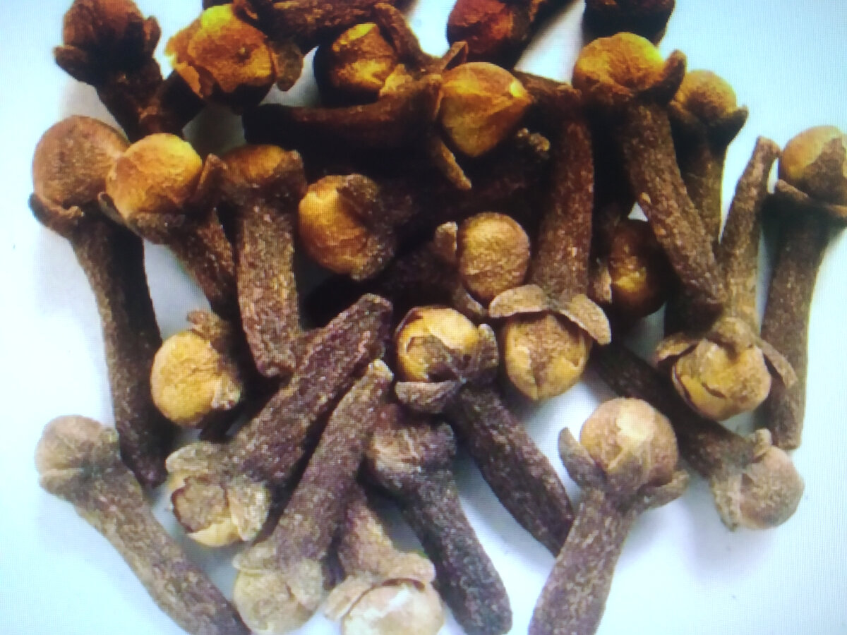 Гвоздика кулинарная пряность , которая есть на каждой кухне , если нет купите продается везде.