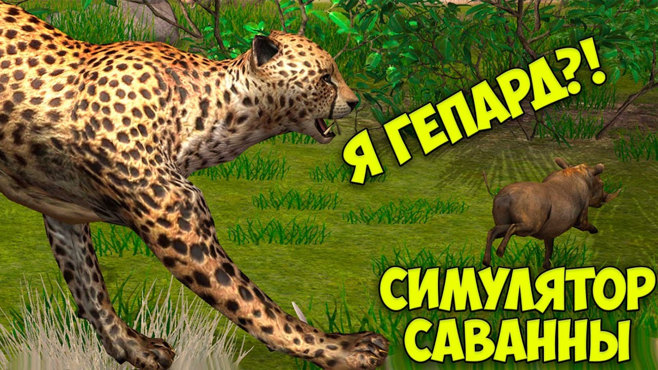 СИМУЛЯТОР ГЕПАРДА - жизнь дикой кошки в САВАННЕ Сим Ultimate Savanna  Simulator