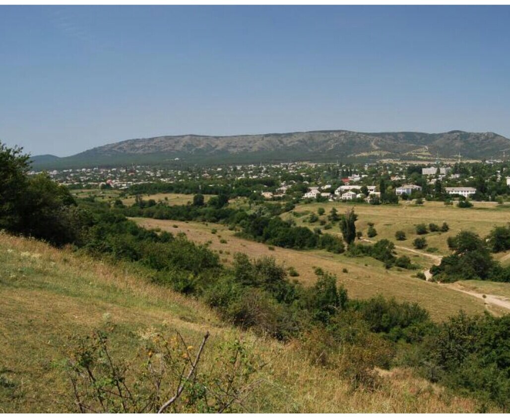 Фото из интернета.