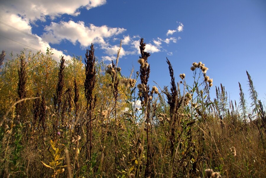 Осколки | Георгий Жаркой | Дзен